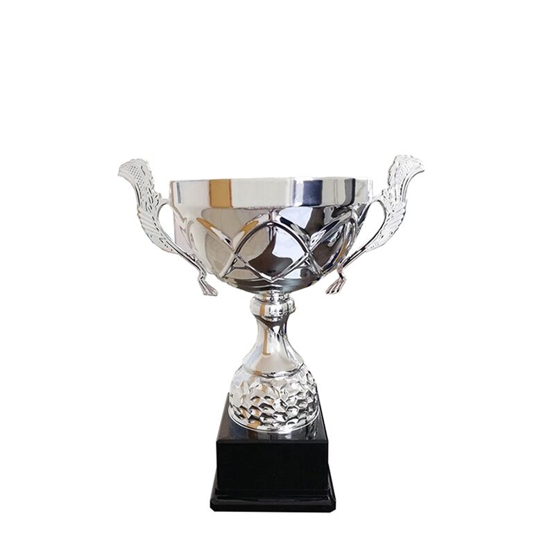 STAR LINE SILVER TROPHY 22CM WITH CUSTOM PRINTED PLATE - Image 1