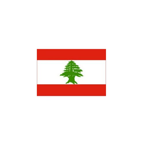 F110-0016.jpg LEBANON FLAG 160X80CM – HERO OUTDOOR WITH ROPES - Image 1