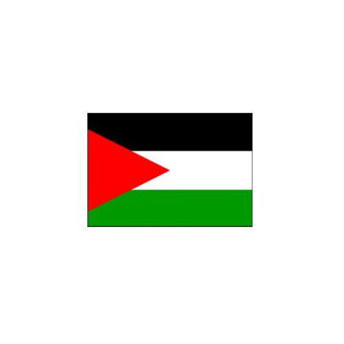 PALESTINE FLAG 160X80CM – HERO OUTDOOR WITH ROPES - Image 1