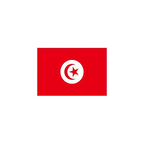 BUDGET TUNISIA FLAG 150X90CM – LIGHTWEIGHT POLYESTER WITH METAL EYELETS - Image 1