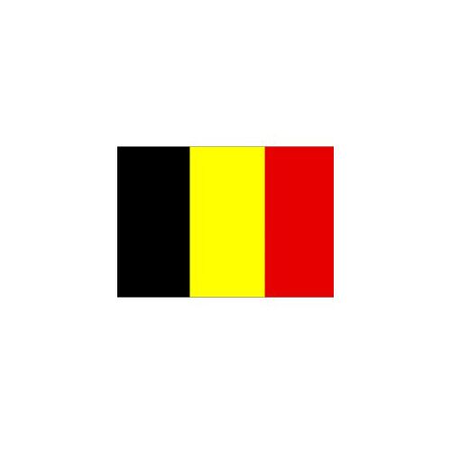 F80-0036.jpg BUDGET BELGIUM FLAG 150X90CM – LIGHTWEIGHT POLYESTER WITH METAL EYELETS - Image 1