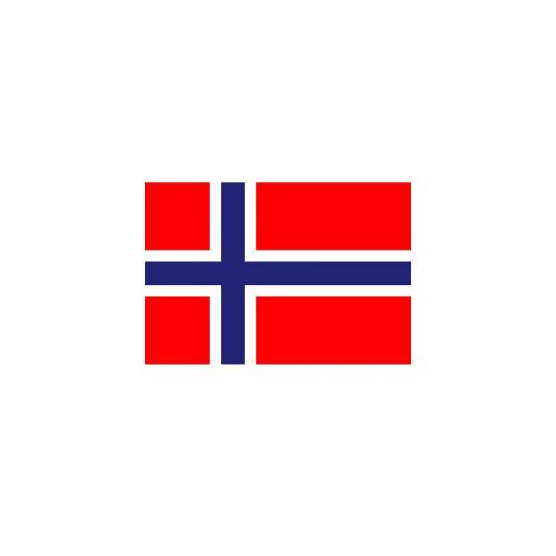 BUDGET NORWAY FLAG 150X90CM – POLYESTER WITH METAL EYELETS - Image 1
