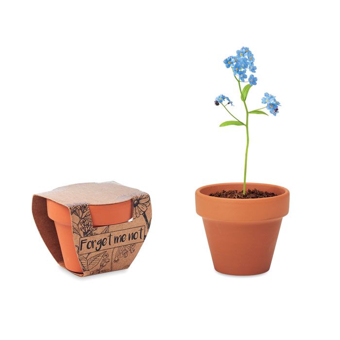 MO6146-40_1.jpg CUSTOM TERRACOTTA POT WITH FORGET-ME-NOT SEEDS – ECO-FRIENDLY PROMOTIONAL GIFT - Image 1