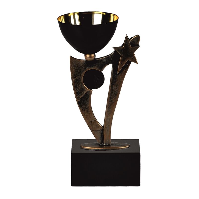 TRB067B.jpg 21.5CM RISING STAR TROPHY – CUSTOM AWARD FOR STUDENT OR EMPLOYEE ACHIEVEMENT - Image 1