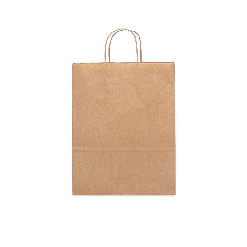 MEDIUM KRAFT PAPER BAG WITH TWISTED HANDLE - Image 1