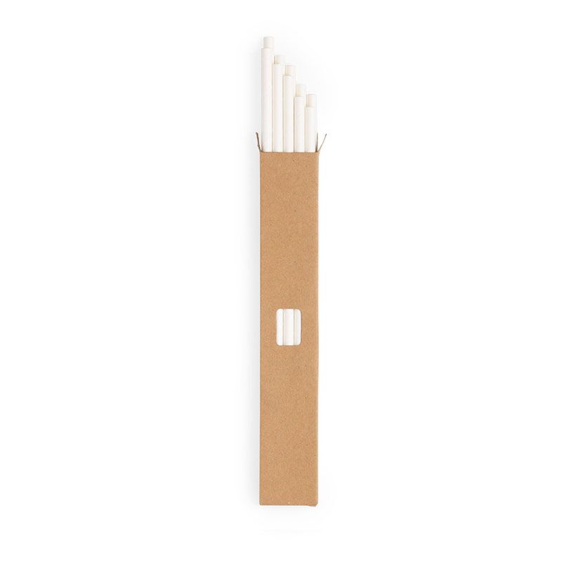 ECO PAPER STRAW SET LANTUX – 10 BIODEGRADABLE STRAWS IN RECYCLED CASE - Image 1