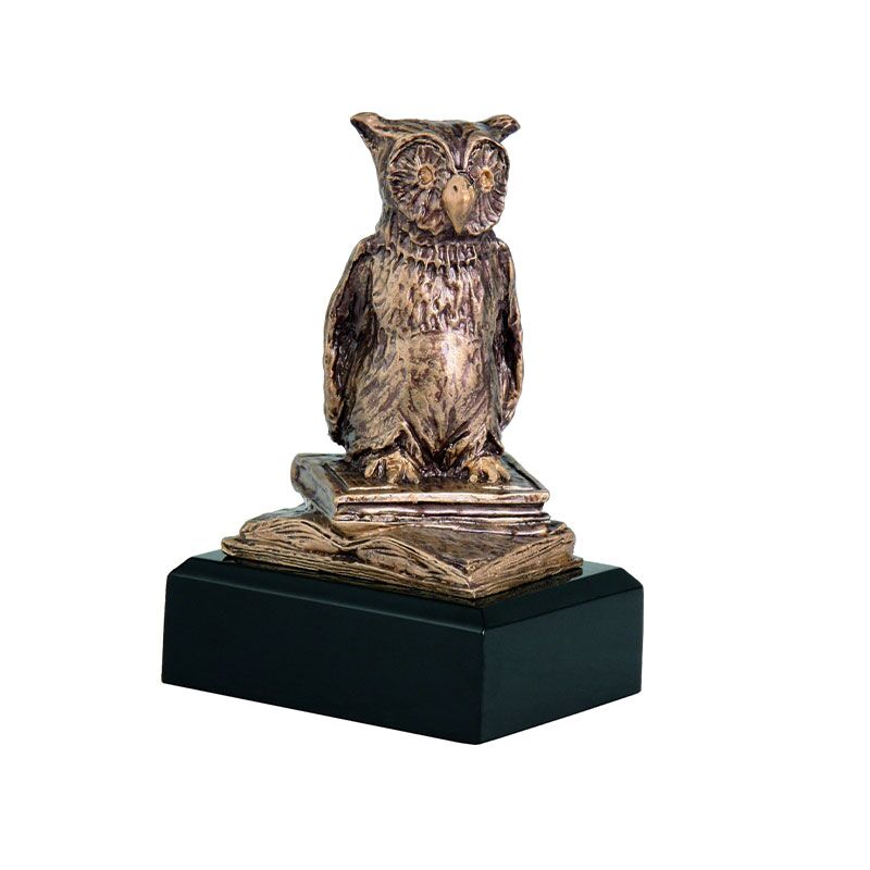 RTY630_BR GRADUATION OWL AWARD – 13.5CM SCHOOL TROPHY FOR ACADEMIC ACHIEVEMENT - Image 1