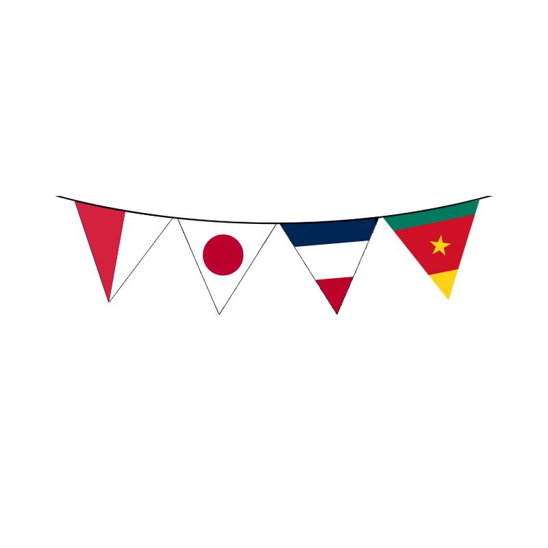 WORLD CUP TRIANGLE BUNTING 11.5M - Image 1