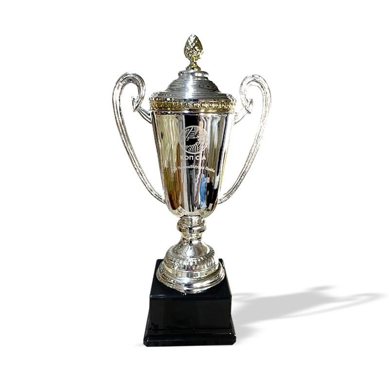 HT2248.jpg CHAMPIONSHIP TROPHY REPLICA 40CM – CYPRUS FIRST DIVISION MINI TROPHY - Image 1