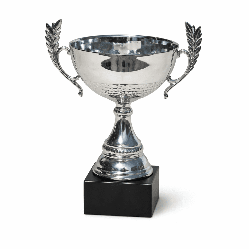 STAR LINE TROPHY WITH HANDLES 24CM - Image 1