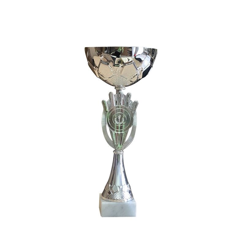 CHAMPIONS TROPHY IN SILVER 26CM - Image 1