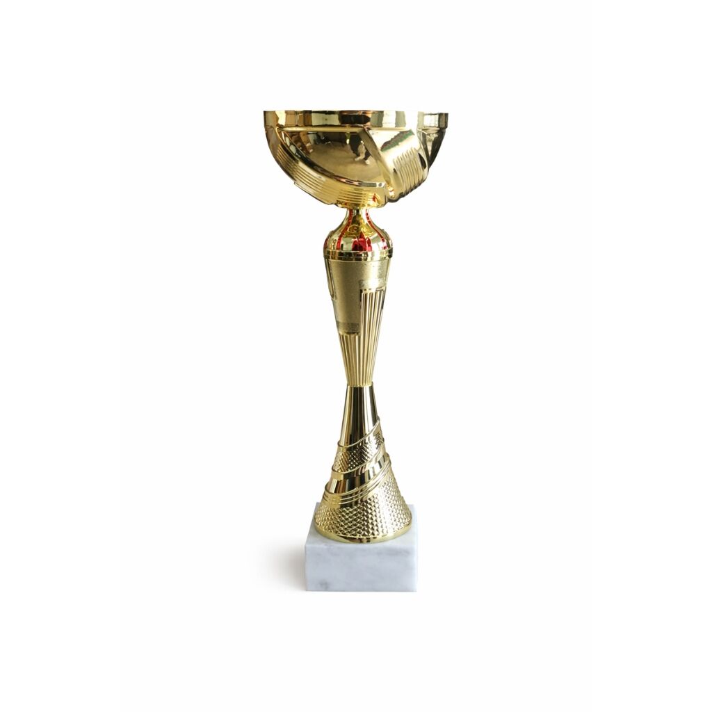 ECONOMY LINE TROPHY IN GOLD 35CM - Image 1