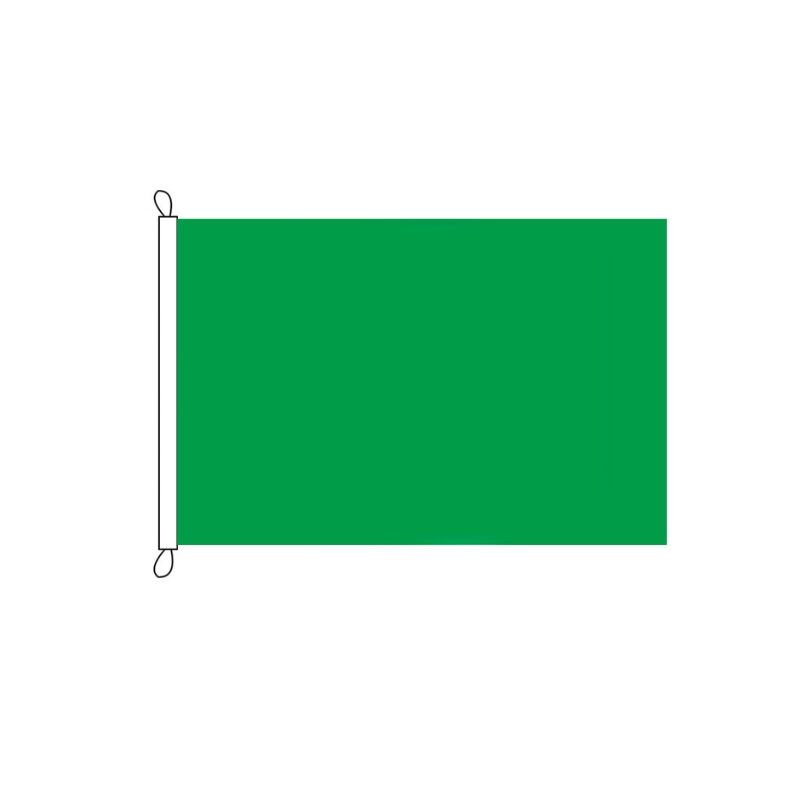 FLAG OF GREEN COLOR 75X150 - Image 1