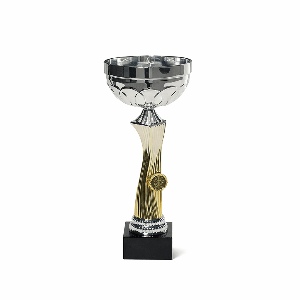 STAR LINE SILVER/GOLD TROPHY 29CM - Image 1
