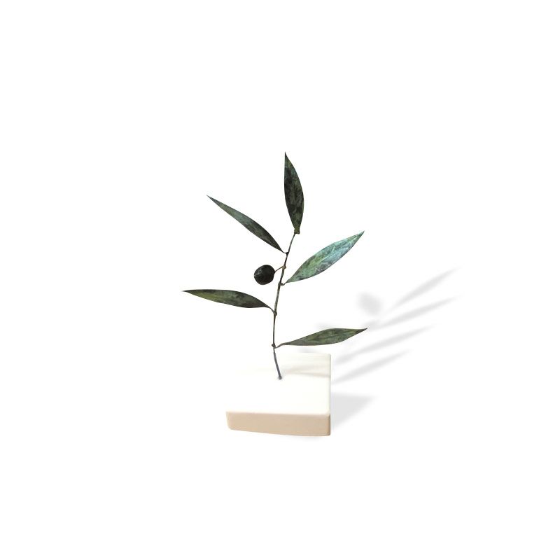 SMALL HANDMADE OLIVE BRANCH IN A BOX - Image 1