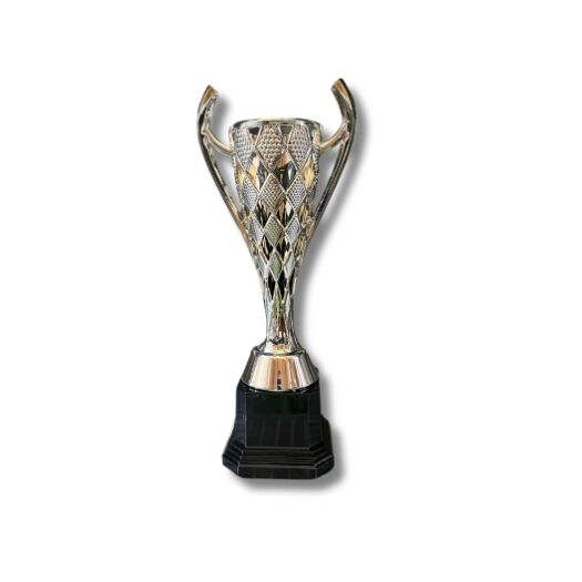 BUDGET LINE TROPHY 27,5CM - Image 1