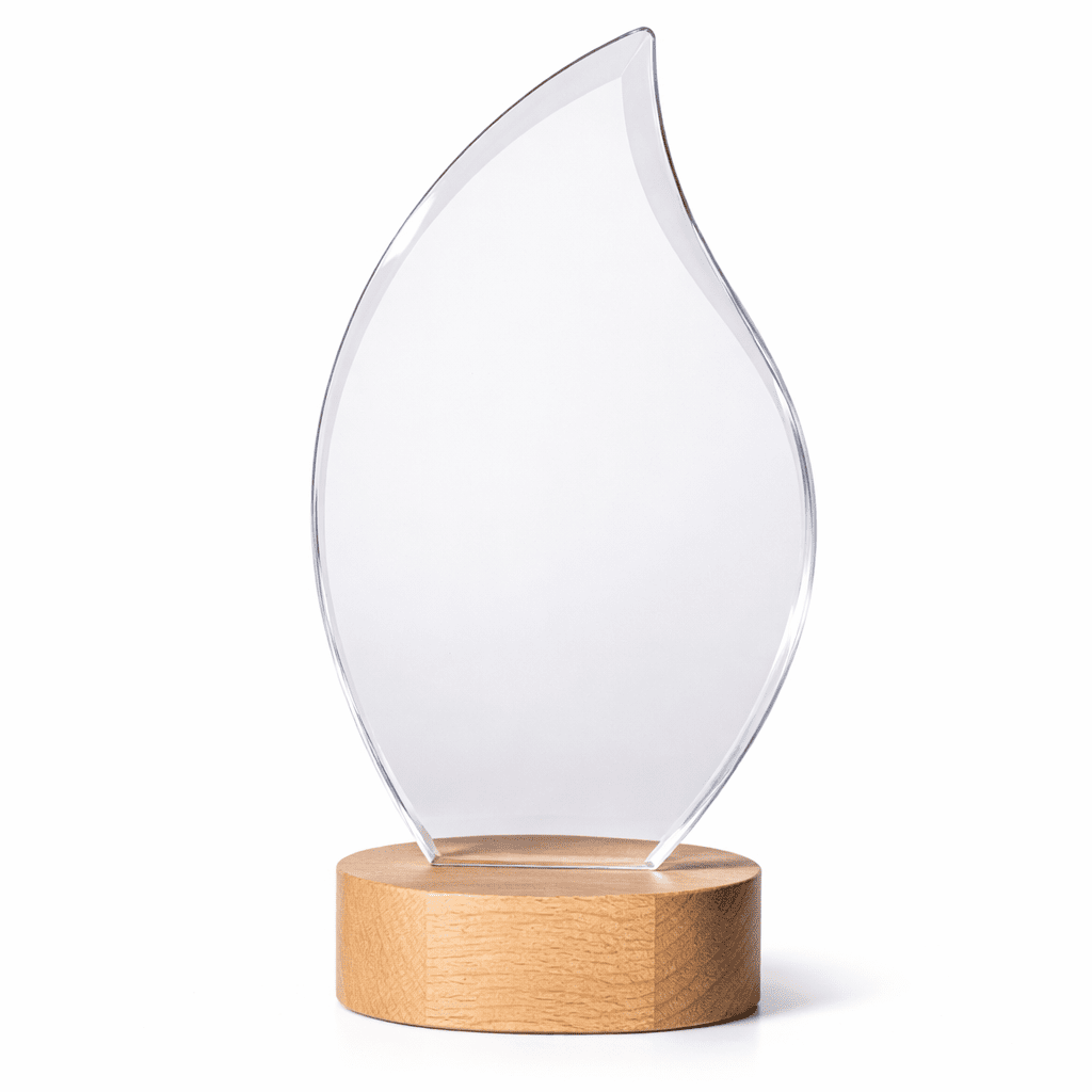 DELUXE CRYSTAL AWARD 22cm - Image 1