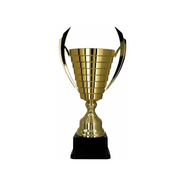 CHAMPIONS TROPHY IN GOLD 50cm - Image 1