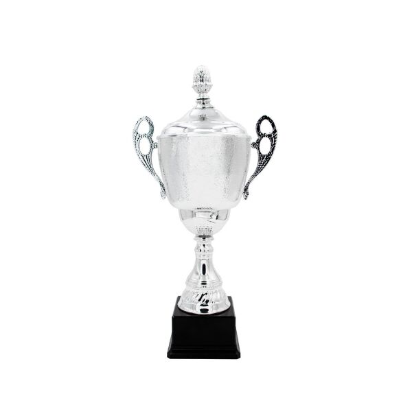CHAMPIONS LINE TROPHY 44CM - Image 1