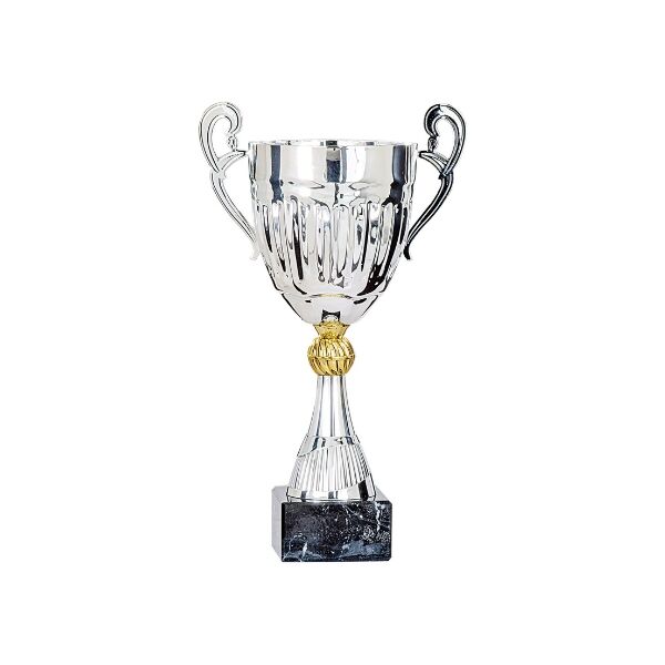 TROPHY WITH HANDLES 32CM - Image 1