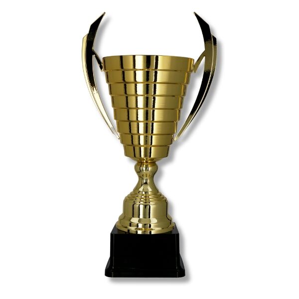 CHAMPIONS TROPHY IN GOLD 55CM - Image 1