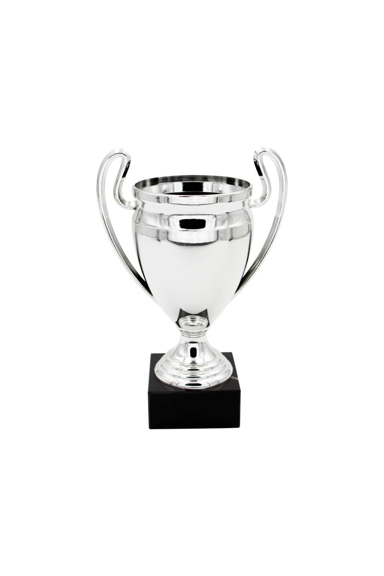 BUDGET SMALL TROPHY 17CM - Image 1