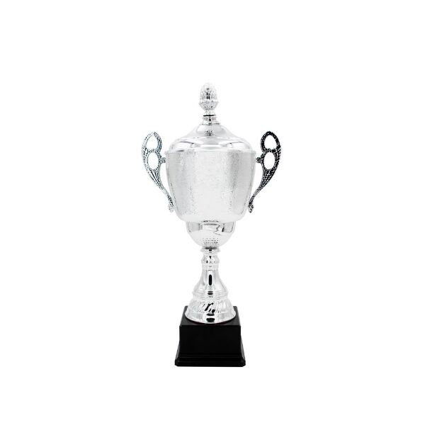 CHAMPIONS LINE TROPHY 62CM - Image 1